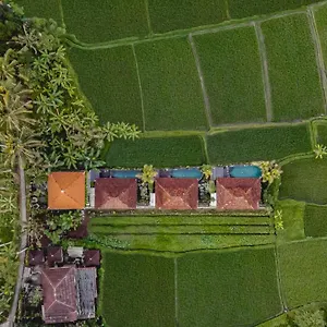 https://airsania-ubud-antique-villas.ubudhotelsnow.com